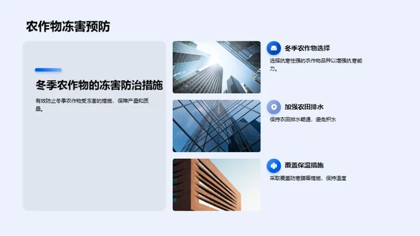 大寒农作物种植策略