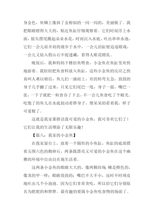 我家的小金鱼作文350字.docx