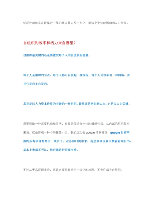 自组织管理中的规则和效率.docx