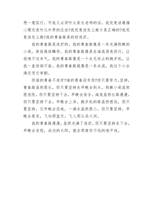 描写我们不负青春的满分作文.docx