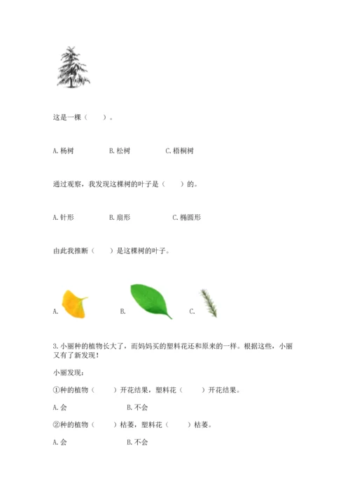 教科版一年级上册科学期末测试卷带答案（夺分金卷）.docx