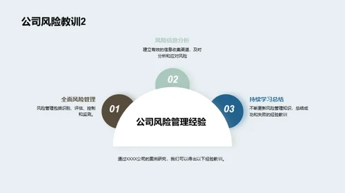 保险风险管理与案例研究