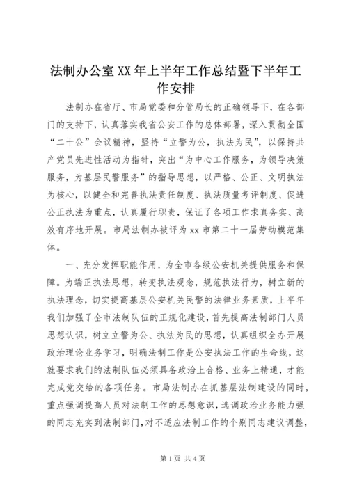 法制办公室XX年上半年工作总结暨下半年工作安排.docx