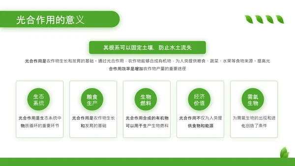 绿色清新风植物的光合作用PPT模板