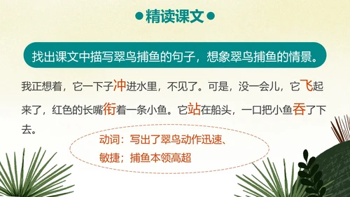 部编版三年级上册《搭船的鸟》