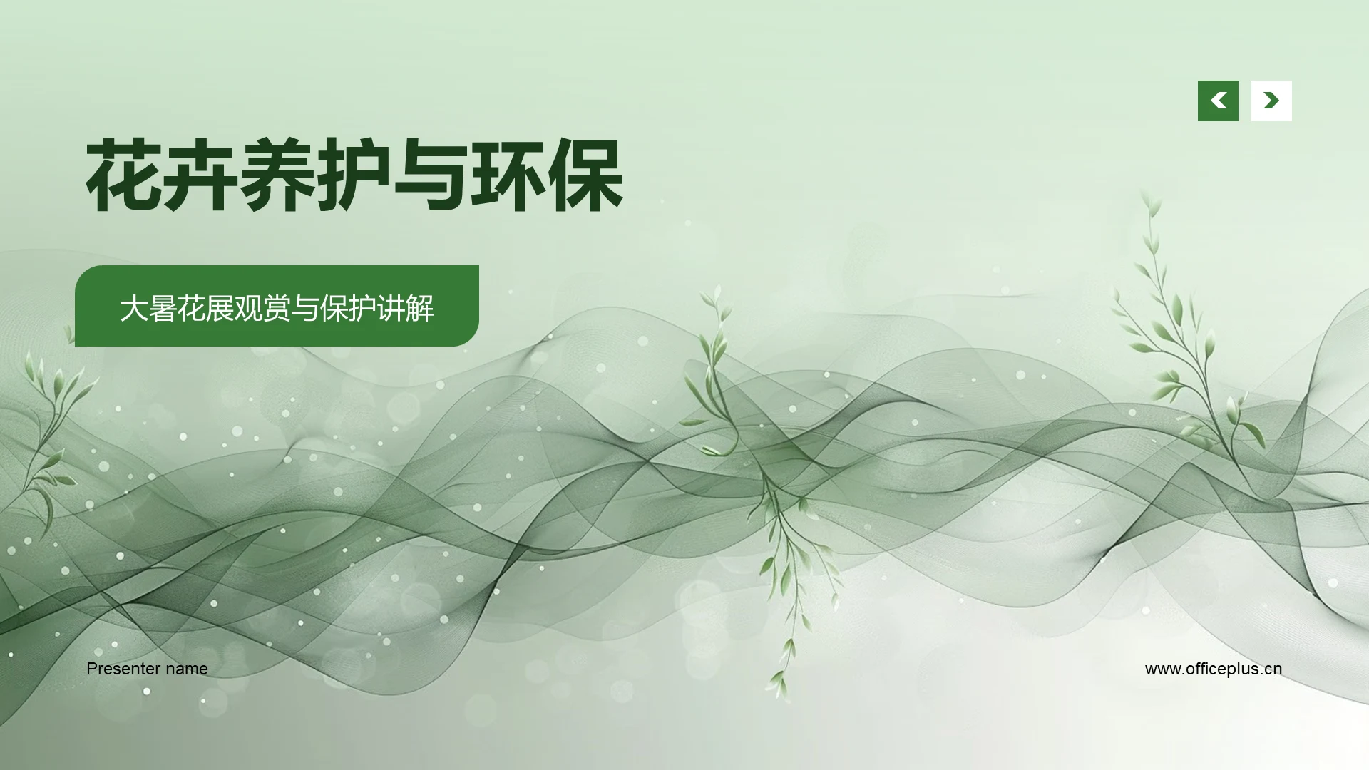 花卉养护与环保PPT模板