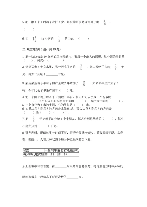 人教版六年级上册数学期末测试卷（典优）word版.docx