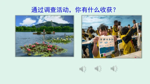 10.《我们所了解的环境污染》（第二课时）  课件