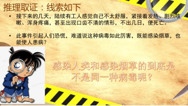 人教版生物八年级上册5.5《病毒》（课件）(共30张PPT)+视频素材