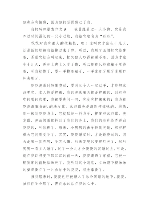 我的特殊朋友作文.docx