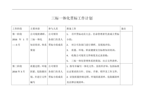 三标一体化贯标工作计划.docx