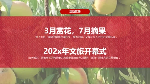 小镇桃花节策划方案通用PPT