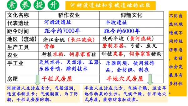 2024年秋季七年级上册历史期中复习课件