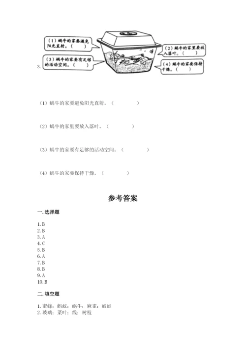 教科版一年级下册科学期末测试卷及参考答案（综合题）.docx