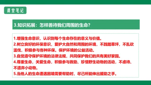 8.2敬畏生命 课件