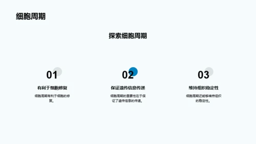蓝色细胞结构和功能介绍PPT模板