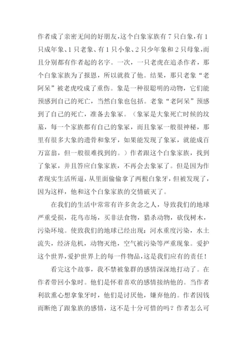 白象家族读后感1000字.docx