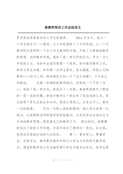 新教师培训工作总结范文.docx