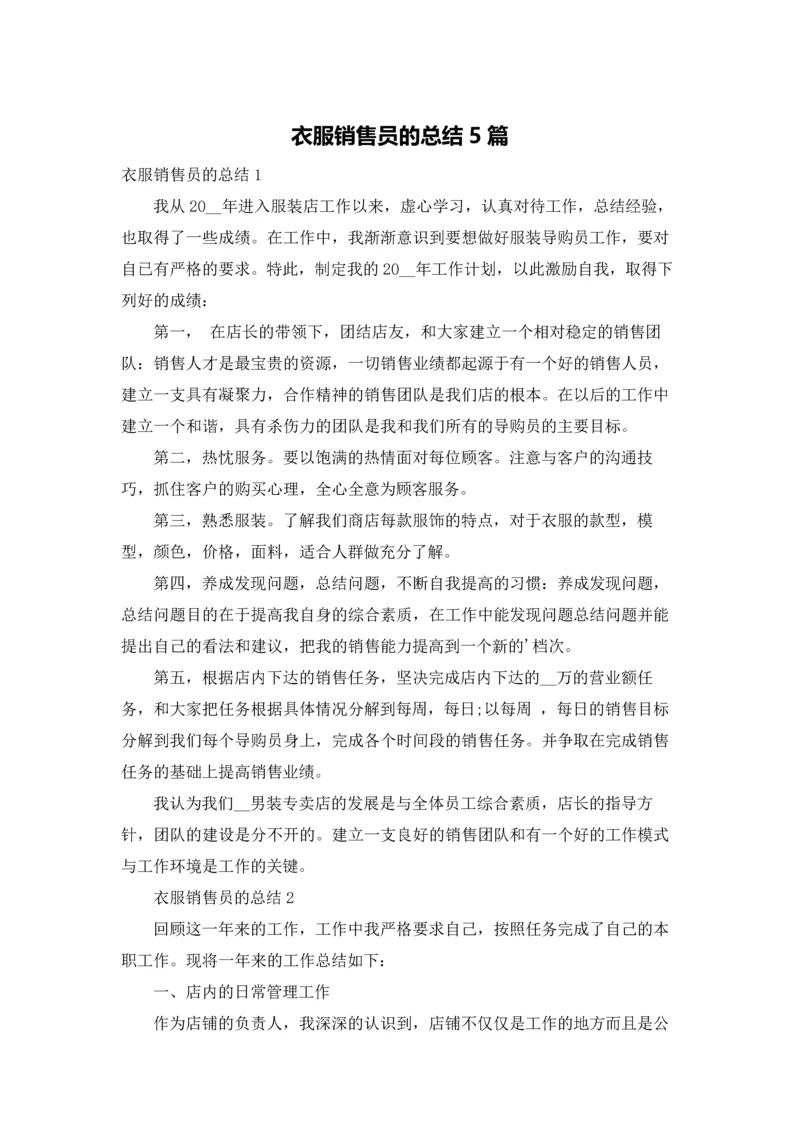 衣服销售员的总结5篇.docx