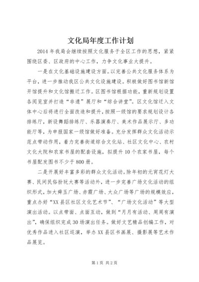 文化局年度工作计划.docx