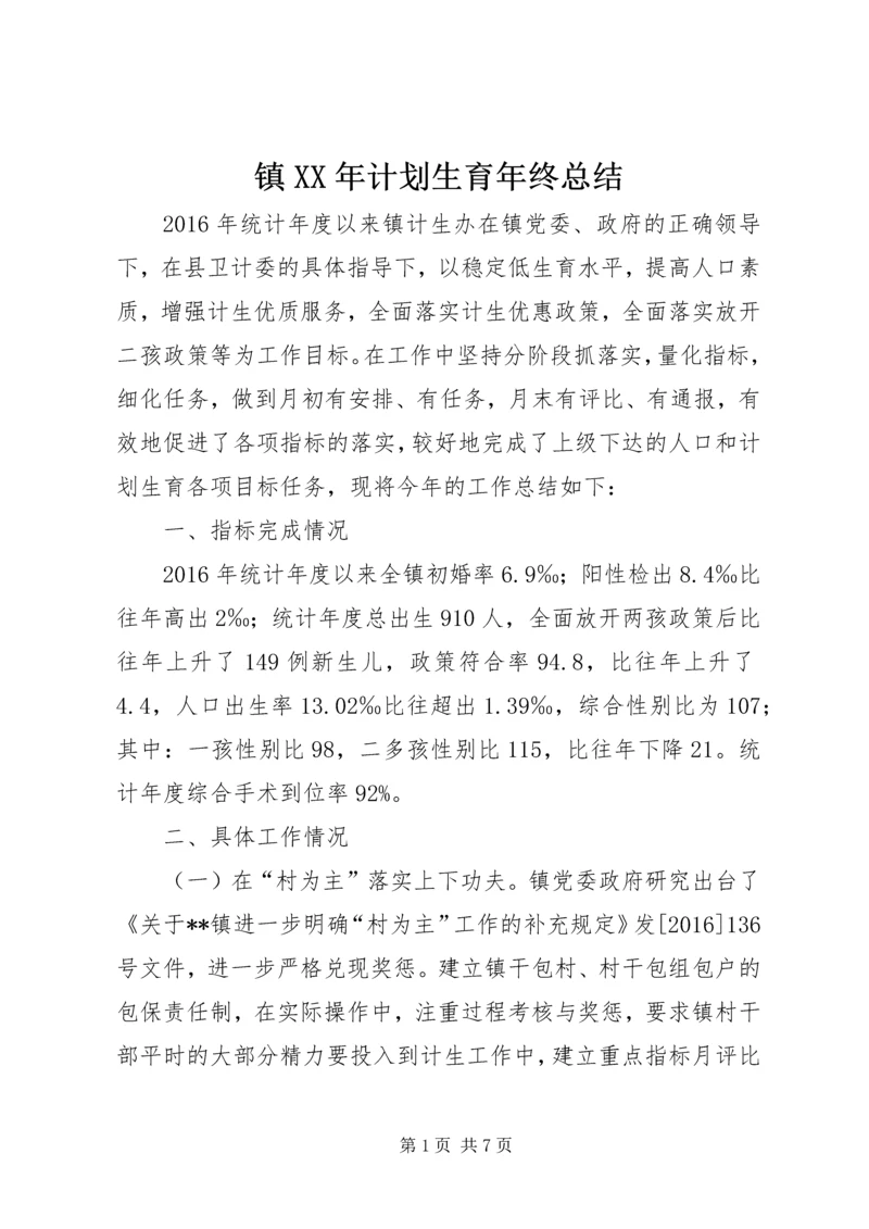 镇XX年计划生育年终总结.docx