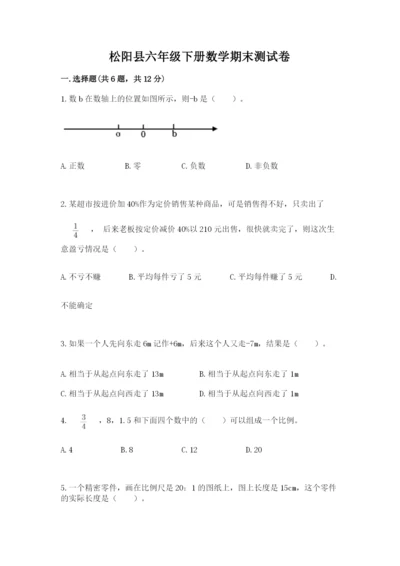 松阳县六年级下册数学期末测试卷推荐.docx