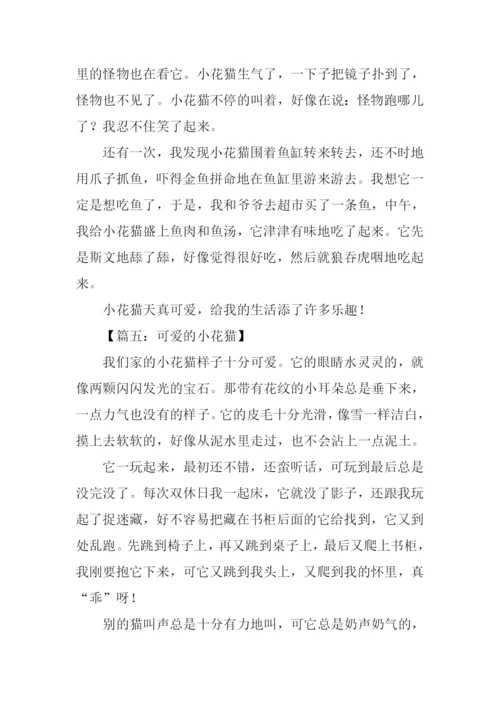 小花猫的作文.docx