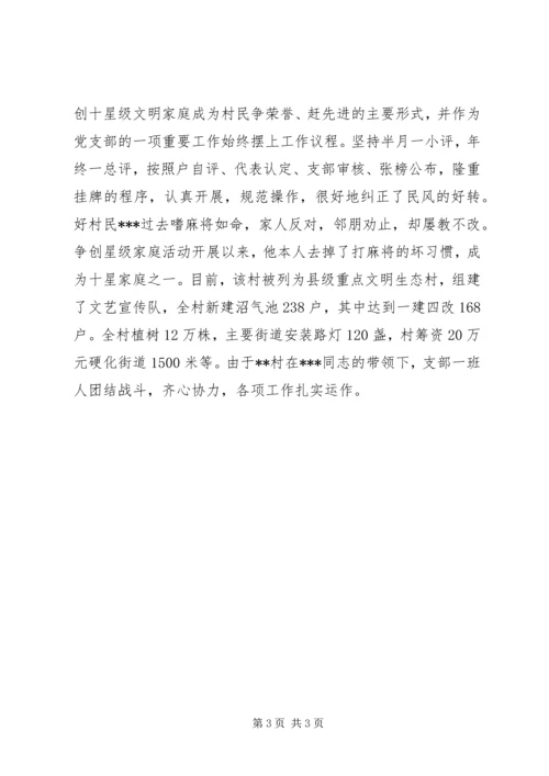 村党支部书记简要事迹材料 (3).docx