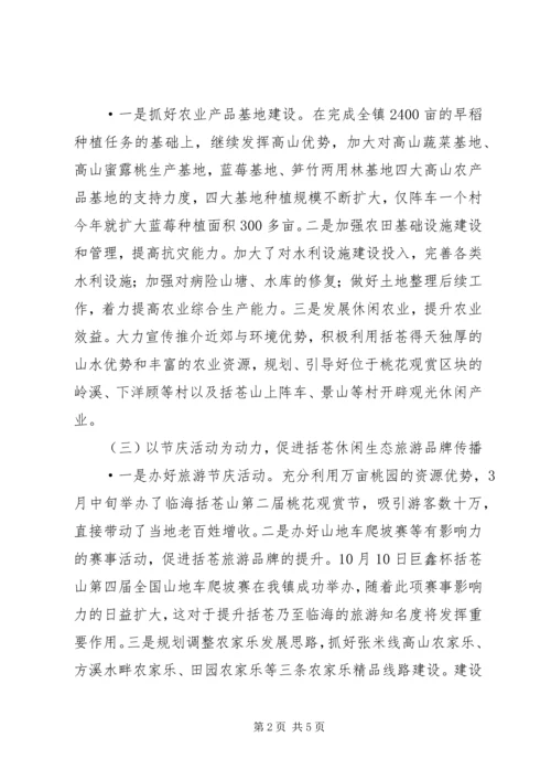 乡镇工作总结总结.docx