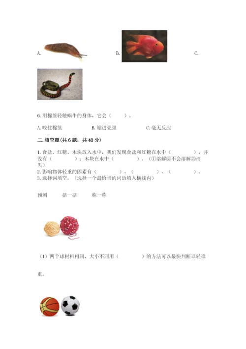 教科版一年级下册科学期末测试卷附答案【满分必刷】.docx