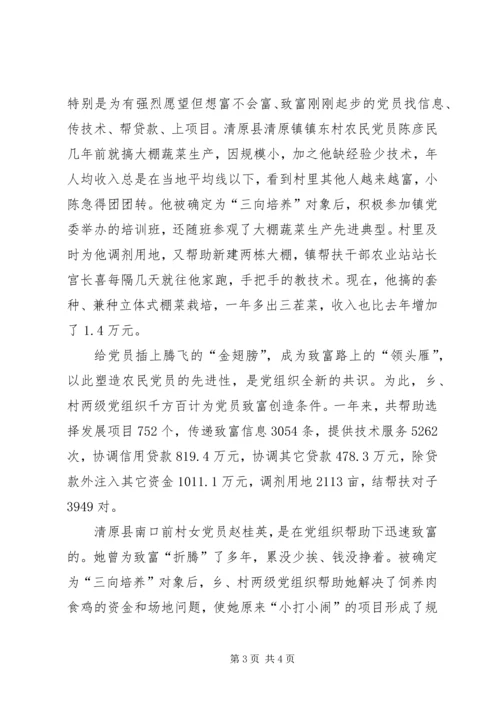 全市农村实施三向培养工程纪实 (3).docx