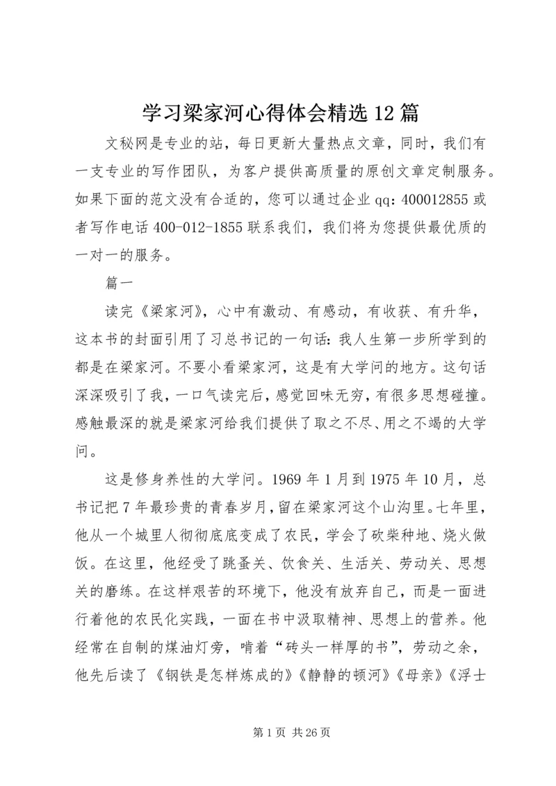 学习梁家河心得体会精选12篇.docx