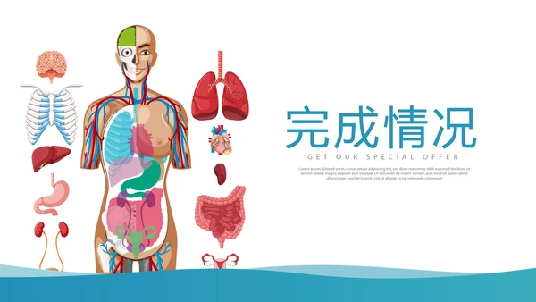医疗医学人体结构动态PPT