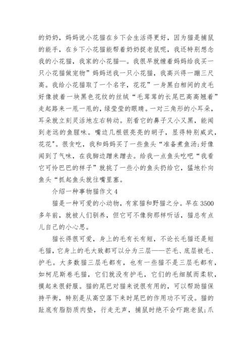 介绍一种事物猫五年级作文5篇.docx