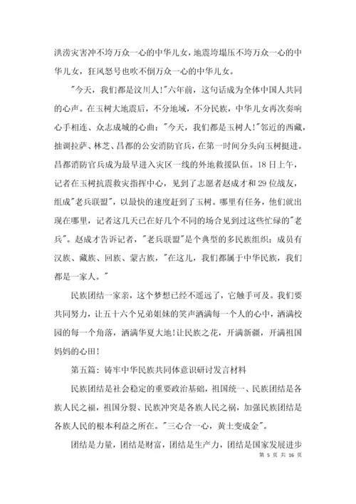 铸牢中华民族共同体意识研讨发言材料【十一篇】.docx