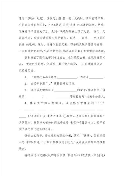 2021小升初语文练习试题