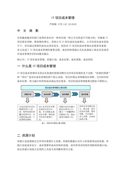 IT项目成本管理.docx