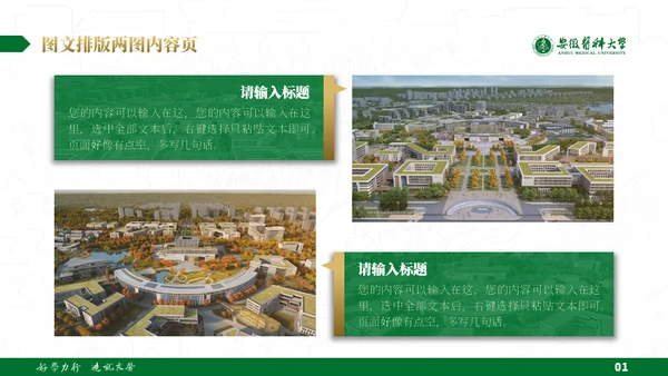 绿金配色安徽医科大学通用PPT模板