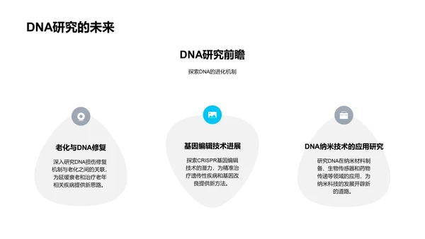 DNA实验探究