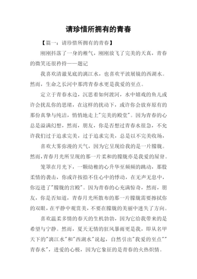 请珍惜所拥有的青春.docx
