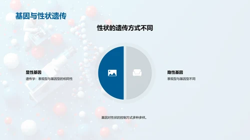 基因与生命讲座PPT模板