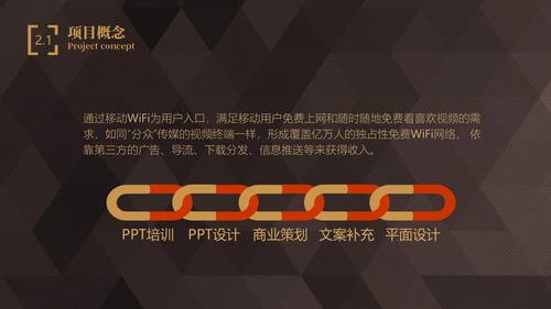 轻奢质感商业项目计划书通用PPT模板