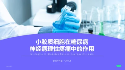 糖尿病神经病理性疼痛通用PPT模板