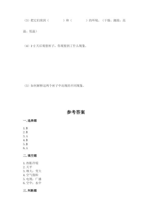 教科版三年级上册科学期末测试卷精品【有一套】.docx