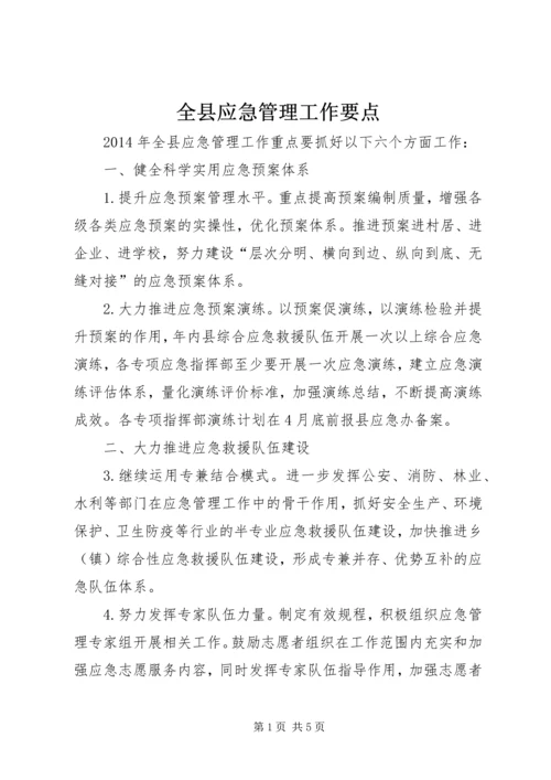 全县应急管理工作要点.docx