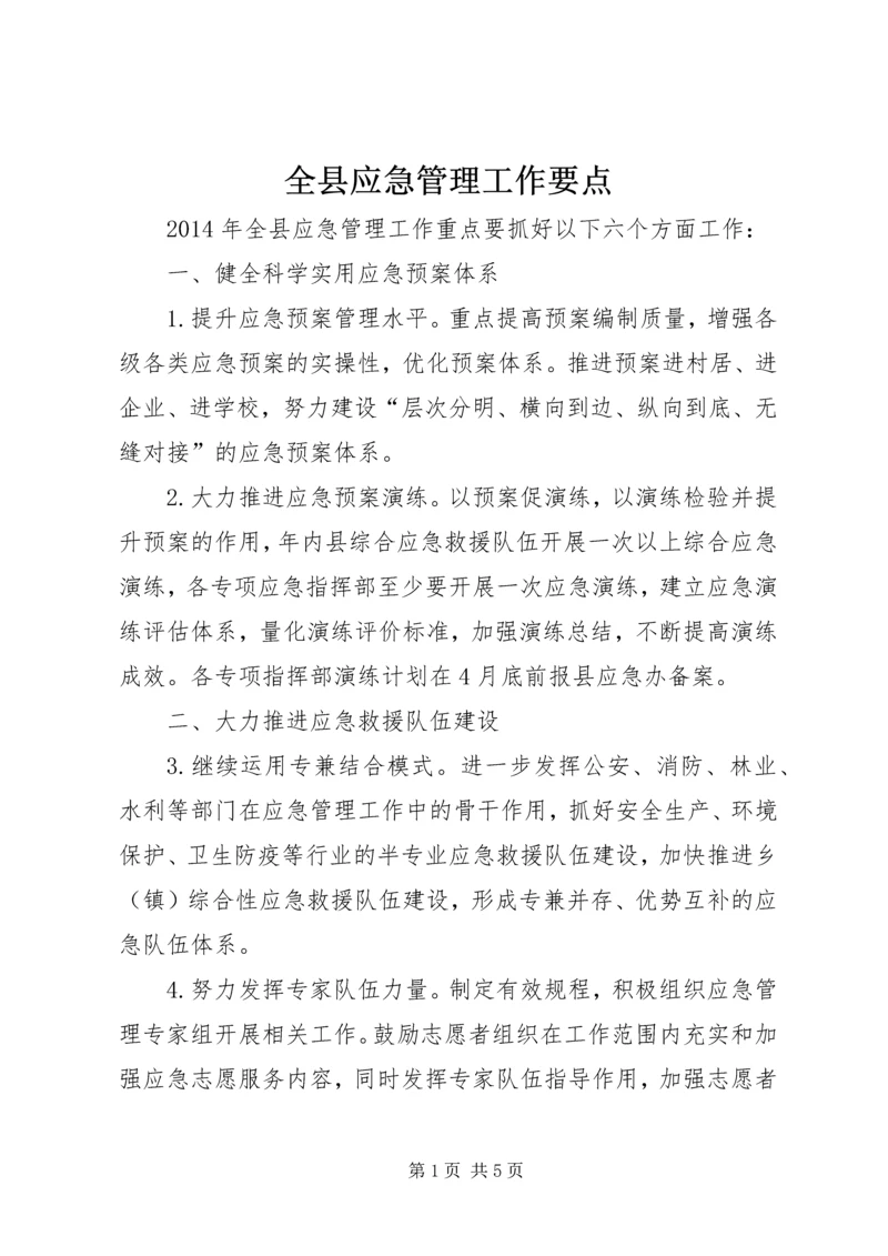 全县应急管理工作要点.docx
