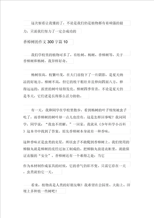有关香樟树的作文300字汇编10篇