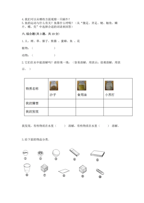 教科版一年级下册科学期末测试卷及参考答案（培优a卷）.docx