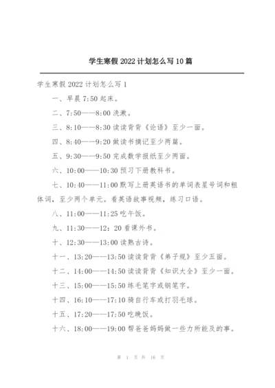 学生寒假2022计划怎么写10篇.docx