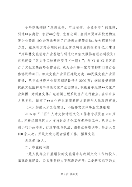 文化工作总结和计划.docx